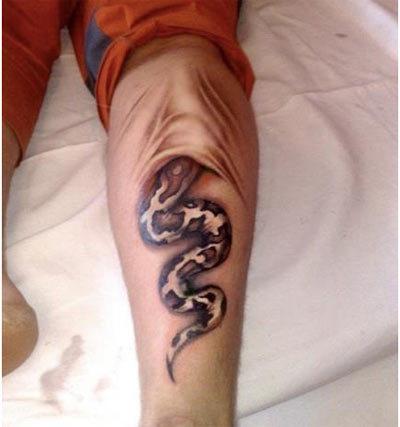 Top 10 Animal Tattoo Designs With Meanings Top 10 Animal Tattoo Designs With Meanings
