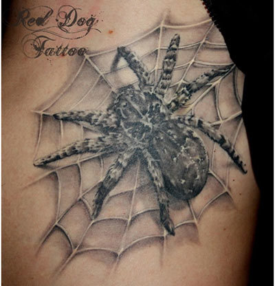 Best Spider Tattoo Designs - Our Top 10