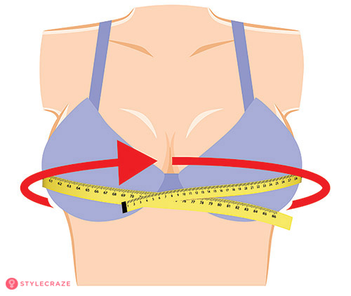 How to Measure your Bra Size - Stylace