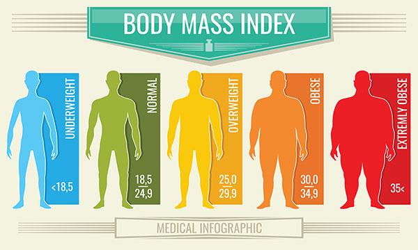 BMI Chart  BMI Calculator