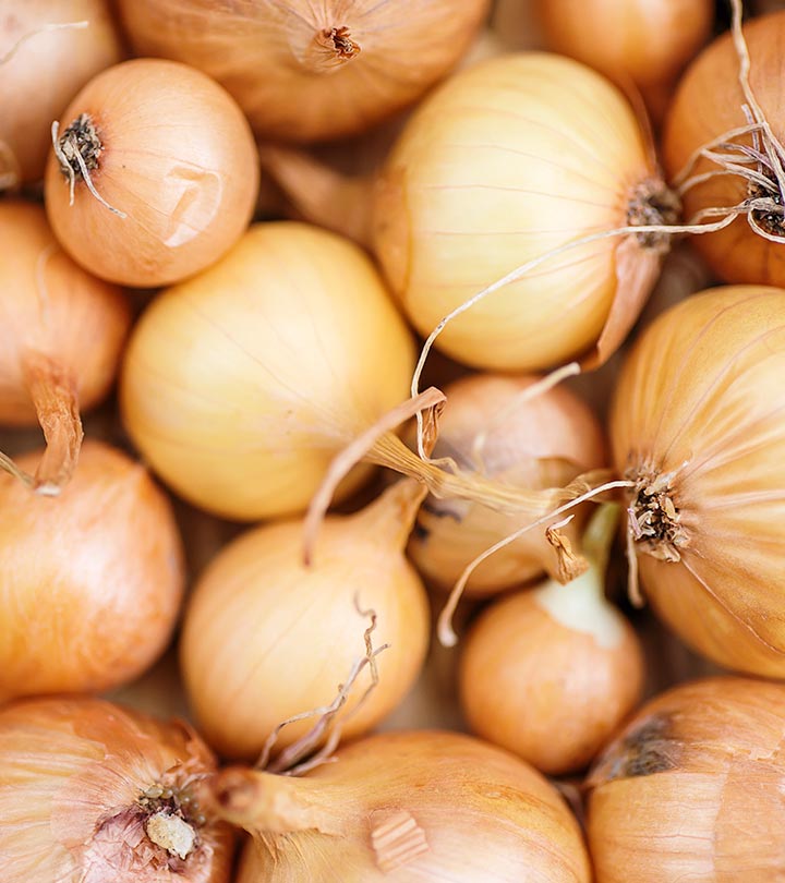 What are the health benefits of onion  Quora
