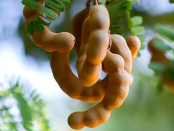 11 Effective Ways To Use Tamarind For Skin Care