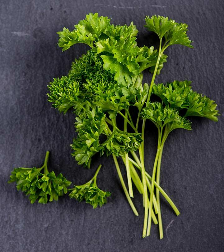 Parsley : Benefits, Taste, Effects on Body, Care, Nutrition, Facts
