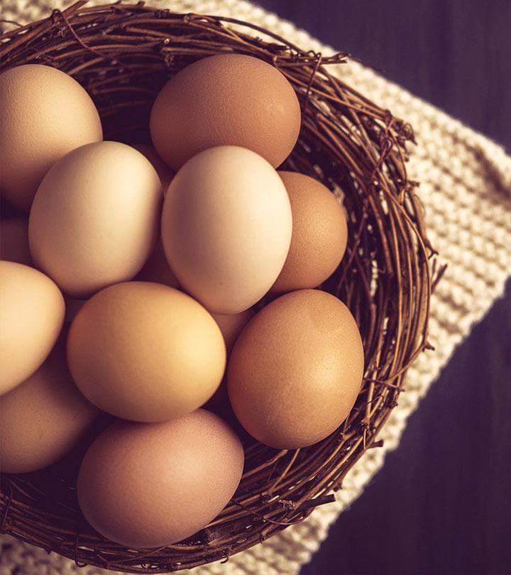 Egg Protein Chart – How Many Proteins Does Egg Contain?