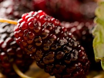 23 Amazing Benefits Of Mulberries (Shahtoot) For Skin, Hair, And ...