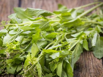 Holy Basil Benefits For Your Health, Skin, And Hair