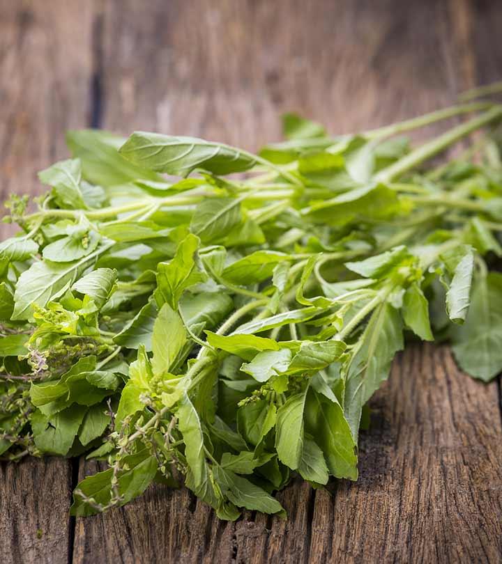 20 Benefits Of Basil For Skin And Hair, Nutrition, & Recipes