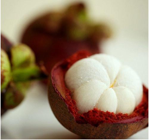health benefits of mangosteen fruit