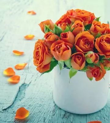 12 Most Beautiful Orange Roses For Your Garden
