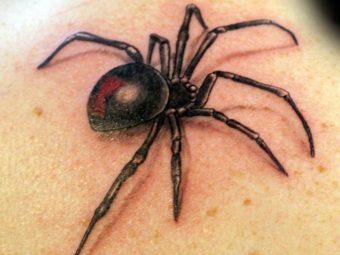 Best-Spider-Tattoo-Designs