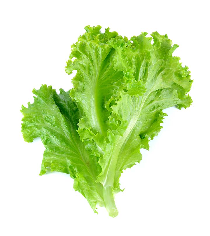 18 Scientifically Proven Health Benefits Of Lettuce