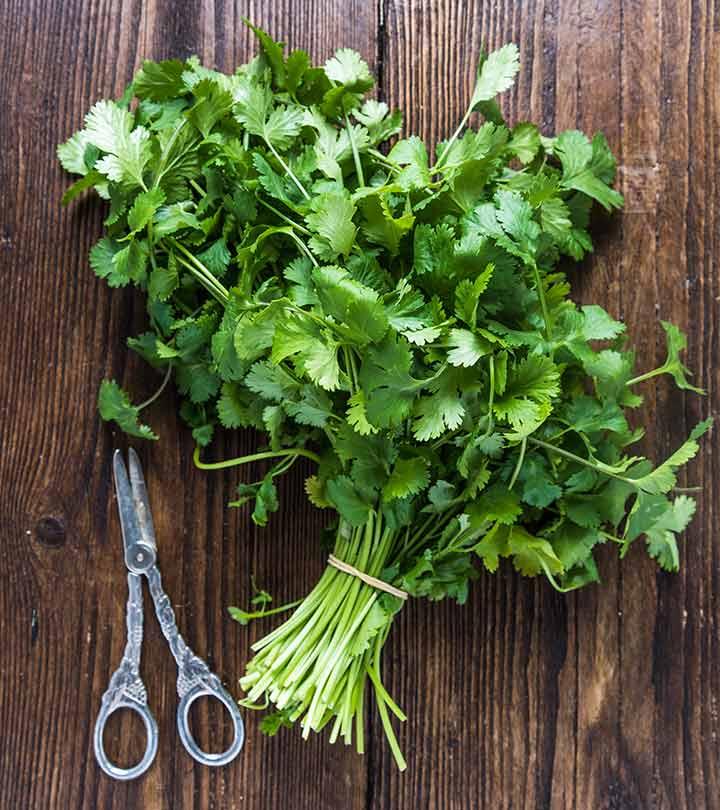 10 Health Benefits Of Cilantro, Nutrition Profile, And Recipes