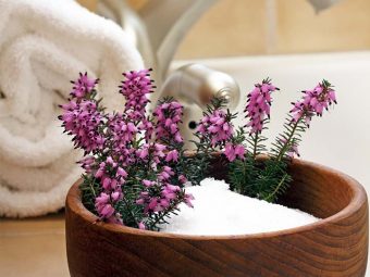 7 Benefits Of Epsom Salt, How It Works, And Side Effects