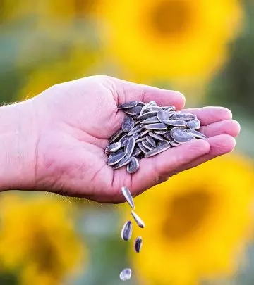8 Benefits Of Sunflower Seeds, Nutrition Profile, & How To Eat