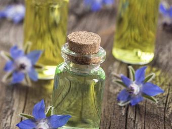 13 Borage Oil Benefits And Possible Side Effects