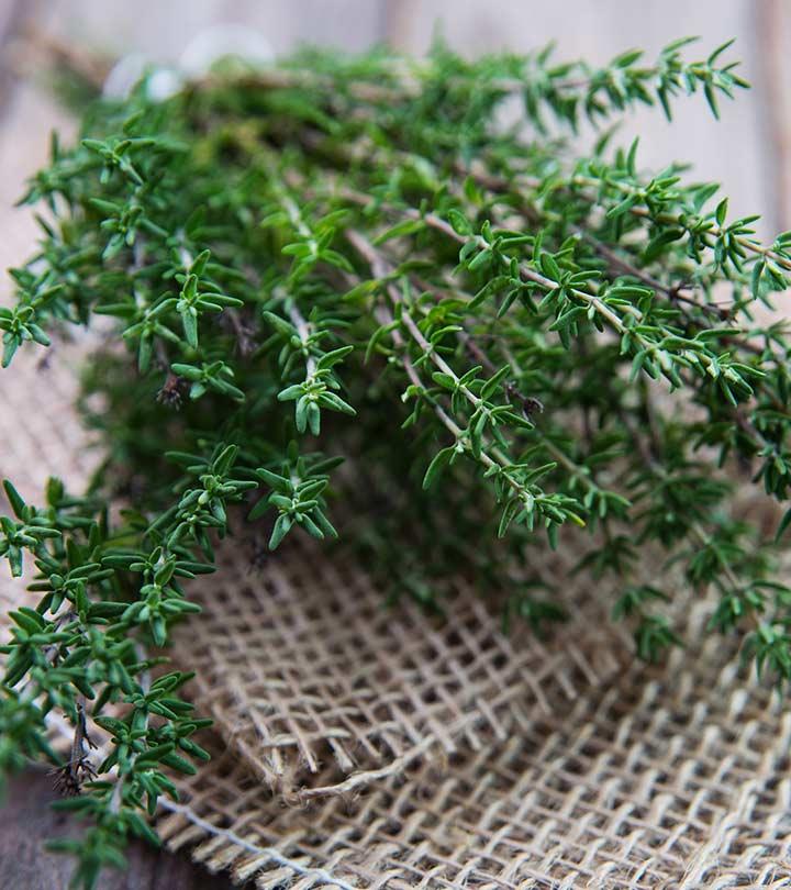 58 Amazing Benefits And Uses Of Thyme (Ajwain ke Phool) For Skin, Hair And Health