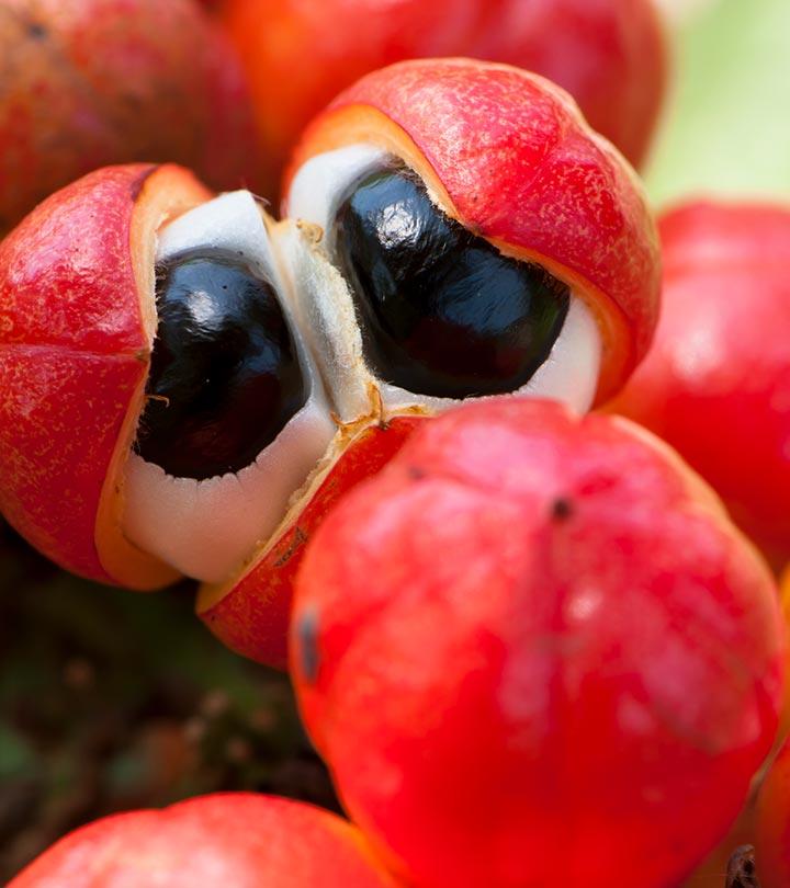 What Is Guarana? Biochemical Profile, Benefits, & Side Effects