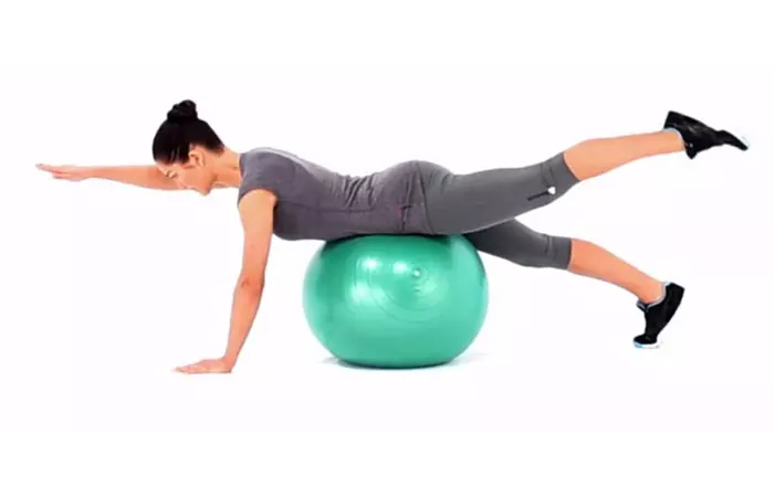 21 Best Ab Exercise Equipments You Can Try