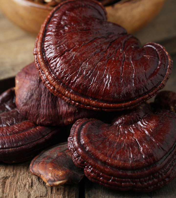 5 Reishi Mushroom (Ganoderma Lucidum) Benefits, Dosage, & Risks