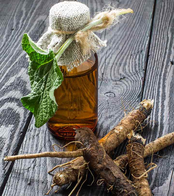 8 Benefits Of Burdock Root, Nutritional Facts, & Side Effects