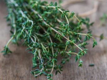 3 Side Effects That Tell You Why Thyme May Not Always Be Good
