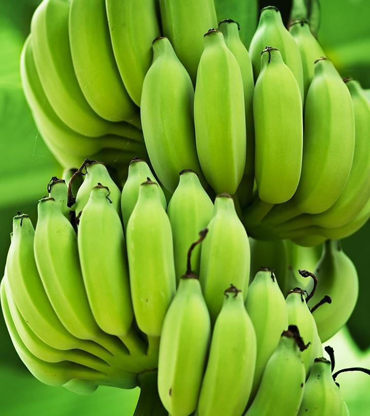 Green Bananas: Health Benefits, Nutrition Facts, And How To Eat