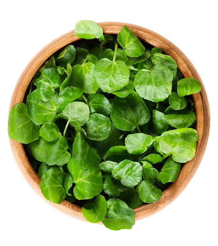 8 Health Benefits Of Watercress, Nutrition, And Side Effects