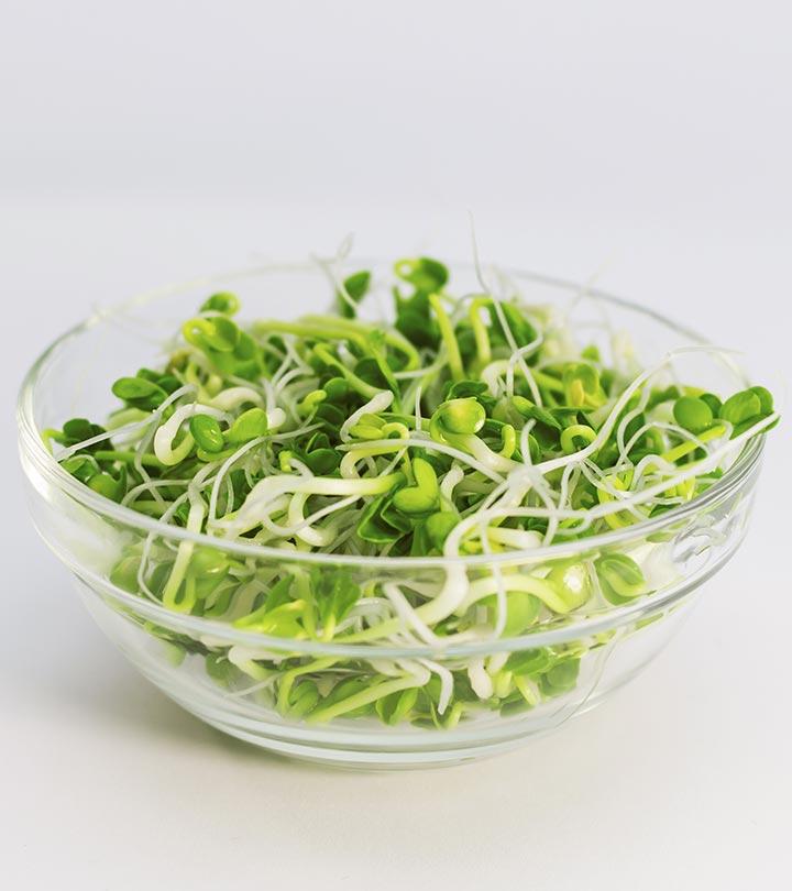 Alfalfa Seeds vs Garden Cress: What is the difference?