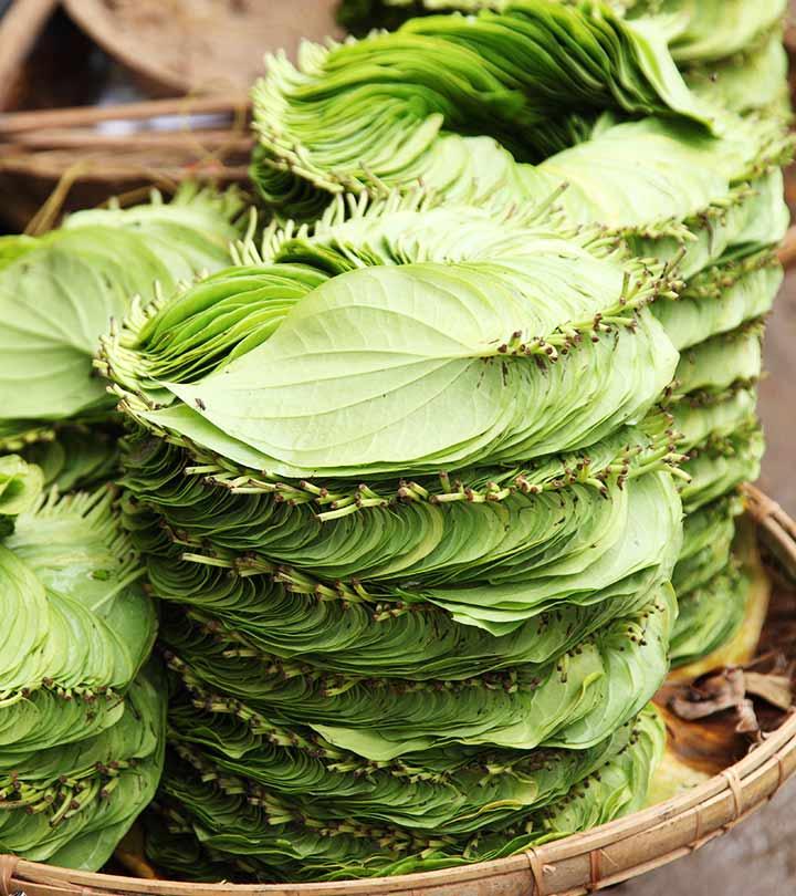 23-Amazing-Medicinal-Uses-Of-Betel-Leaf-(Paan-Ka-Patta)