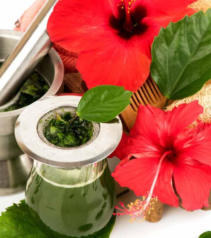 How to Use Dried Hibiscus Flowers for Hair? Ways To Use It. – VedaOils