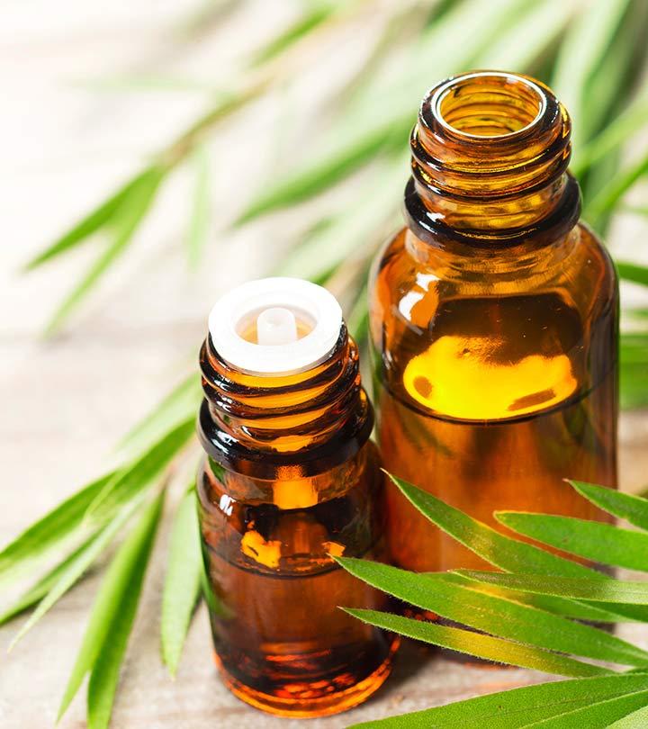 Benefits Of Tea Tree Oil - SUGAR Cosmetics