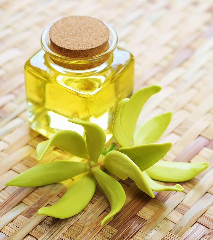 Ylang shop ylang scent