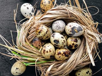 Quail Eggs: 18 Important Health Benefits, Nutrition, And Side Effects