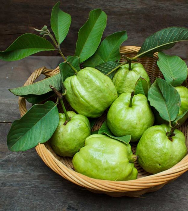How Are Guava Leaves Beneficial For Your Hair?