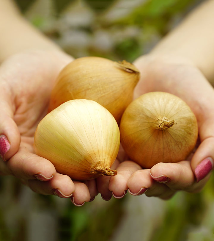 We Bet You Didn’t Know What Rubbing An Onion On Your Hand Can Do
