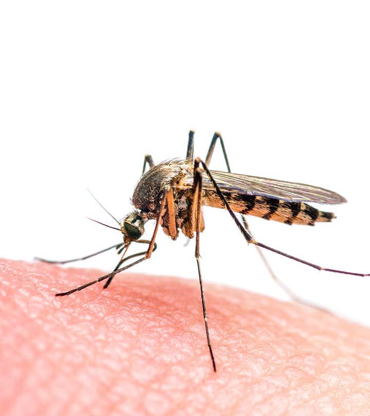 10 Things You Must Know About The Zika Virus