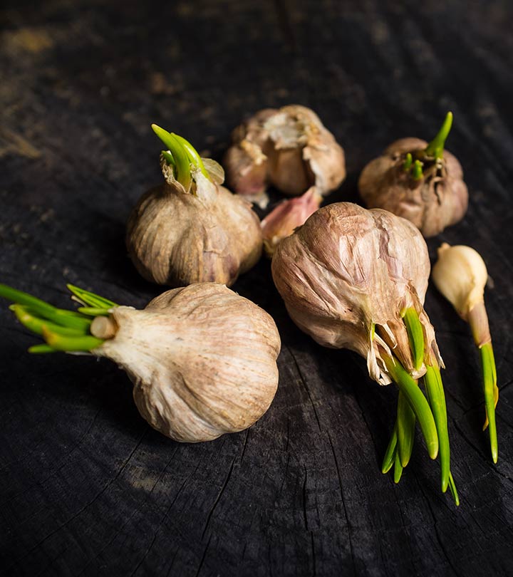 Why You Should Never Throw Away Sprouted Garlic