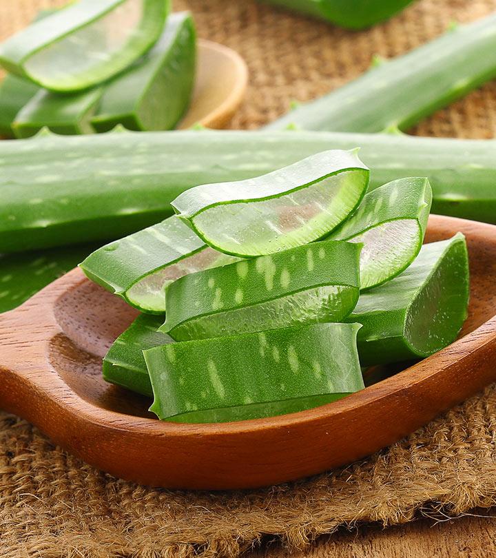 एलोवेरा (घृतकुमारी) के फायदे, उपयोग और नुकसान – All About  Aloe Vera (Ghritkumari) in Hindi