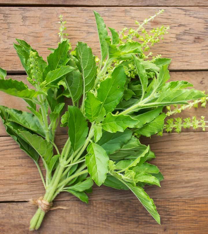 तुलसी के पत्ते के 17 फायदे, उपयोग और नुकसान – All About Basil Leaves in Hindi