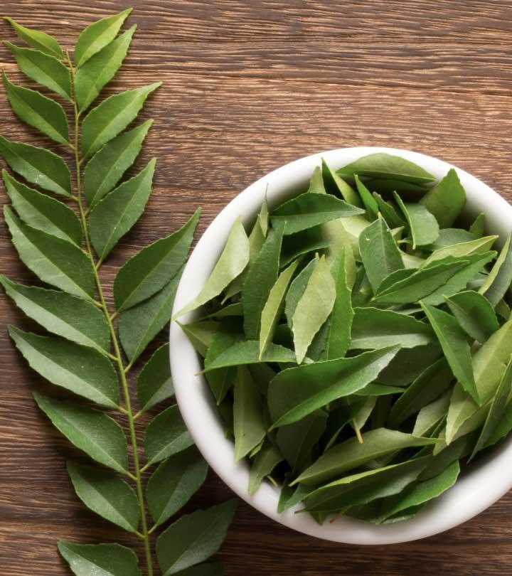 करी पत्ते के 13 फायदे, उपयोग और नुकसान – Curry Leaves Benefits, Uses and Side Effects in Hindi