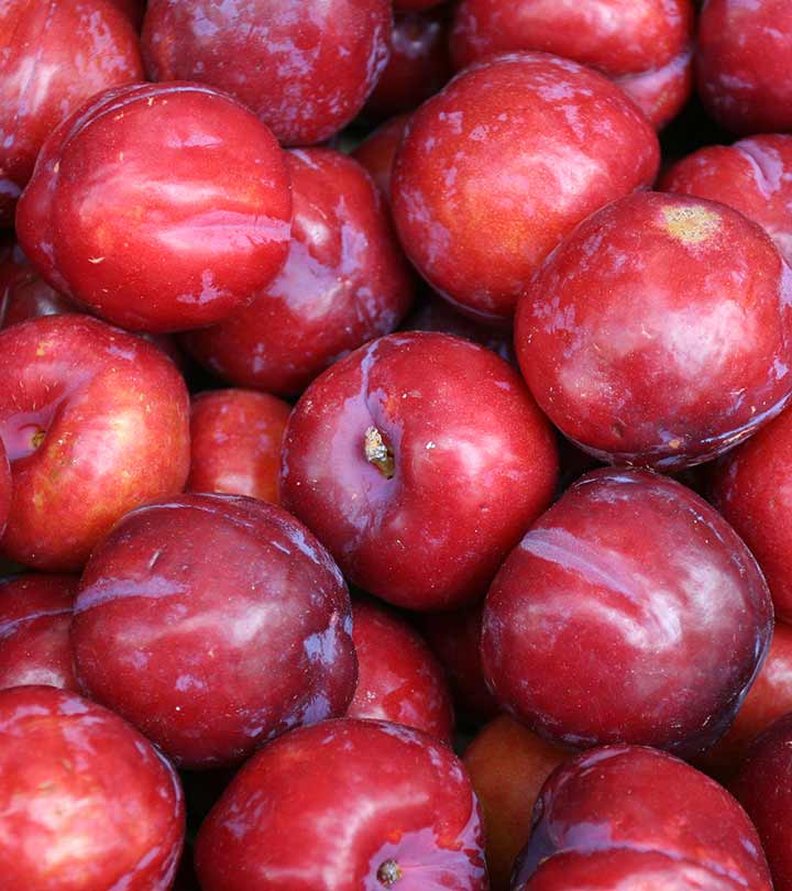 आलूबुखारा के 11 फायदे, उपयोग और नुकसान – Plums Benefits, Uses and Side Effects in Hindi