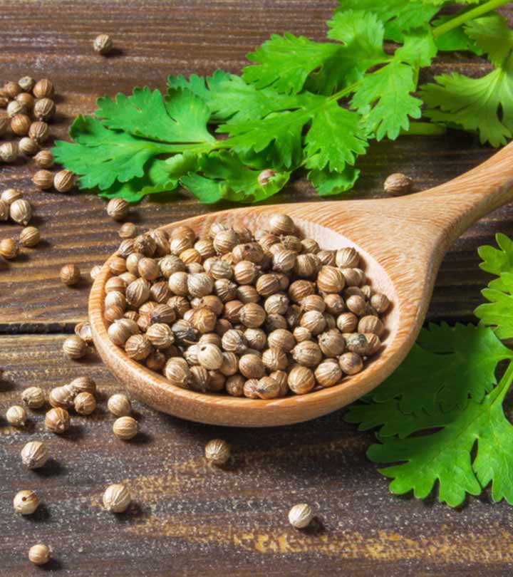 धनिया के बीज के 10 फायदे, उपयोग और नुकसान – Coriander Seeds Benefits and Uses in Hindi