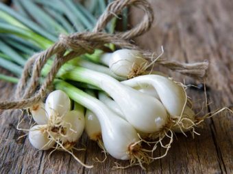 हरे प्याज के 13 फायदे और नुकसान – Spring Onion Benefits and Side Effects in Hindi