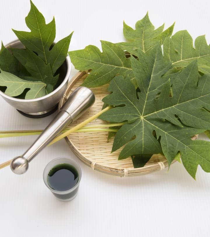 Papaya leaves best sale benefits in hindi