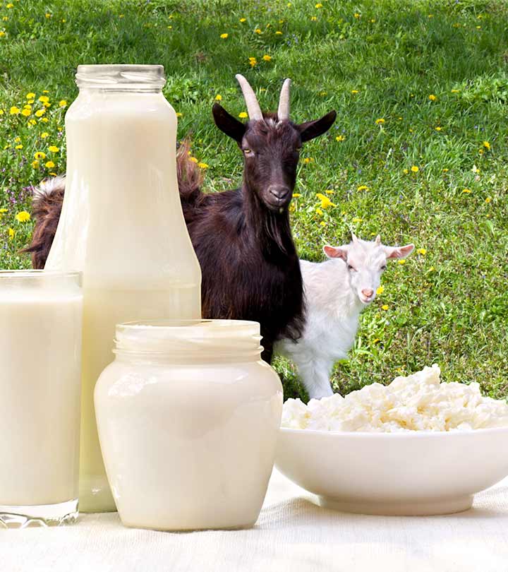 बकरी के दूध के फायदे और नुकसान – Goat Milk Benefits and Side Effects in Hindi