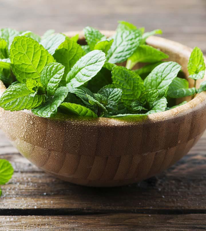 पुदीना के फायदे, उपयोग और नुकसान – Peppermint (Pudina) Benefits and Side Effects in Hindi