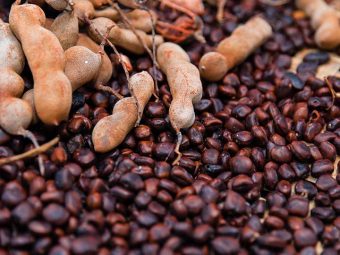 इमली के बीज के फायदे, उपयोग और नुकसान – Tamarind Seed Benefits and Side Effects in Hindi