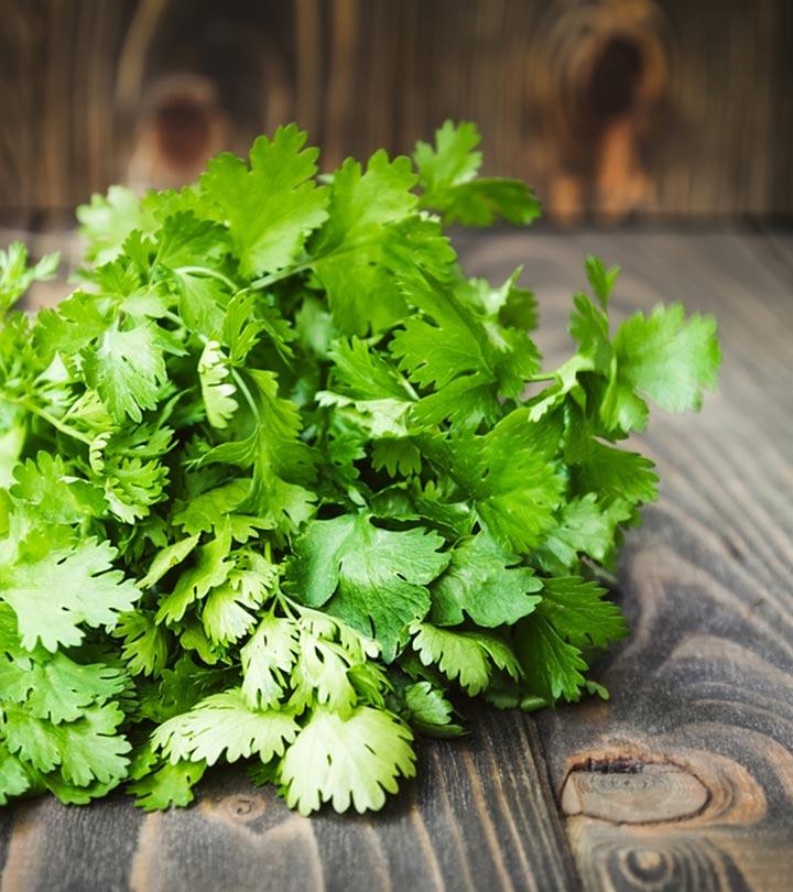 धनिये के पत्ते (हरा धनिया) के फायदे और नुकसान Benefits Of Coriander