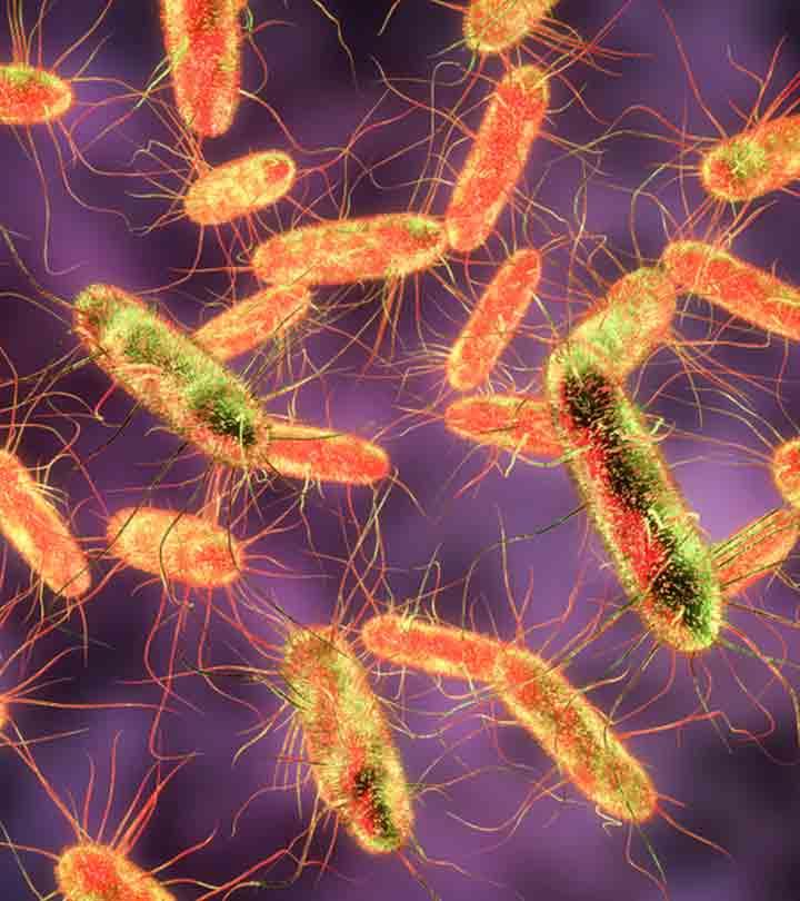 Top 9 Worst Epidemics In The History Of The World