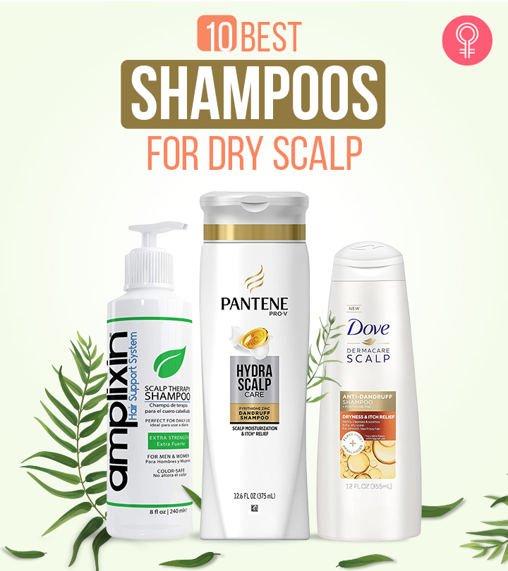 pubertet Burger Forudsætning 10 Best Shampoos For Dry Scalp (2023), According To Reviews